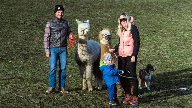 Immagine: Dolomites Farm