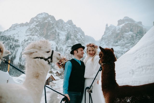 Immagine: Dolomites Farm